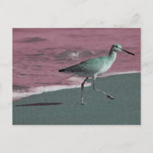 sandpiper abstract red green on beach postcard