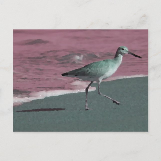 sandpiper abstract red green on beach postcard (Front)