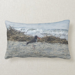 Sandpiper Bird Pillow at the beach.