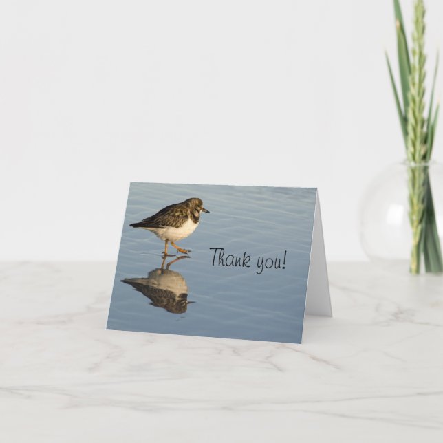 Sandpiper Bird Thank You Greeting Card (Front)