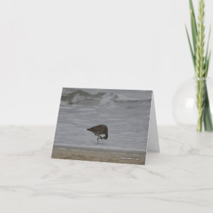 Sandpiper Bows Card