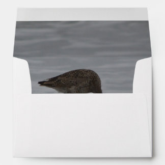 Sandpiper Bows Envelope