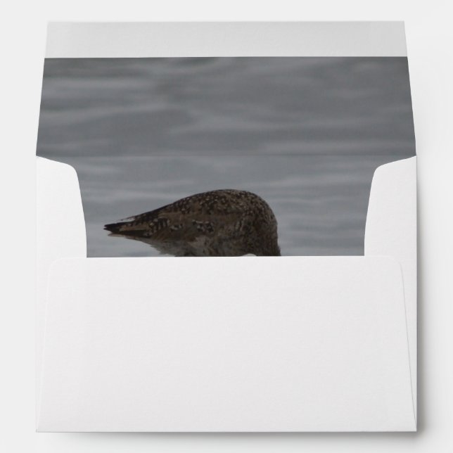 Sandpiper Bows Envelope (Back (Bottom))