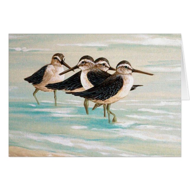 Sandpiper Family (Front Horizontal)