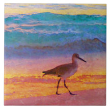 sandpiper on beach at sunset