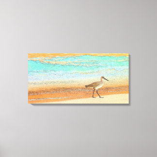 Sandpiper on beach canvas print