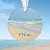 Sandpiper on the Seashore | Beautiful Beach Custom