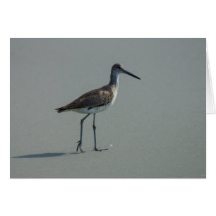 Sandpiper Pose