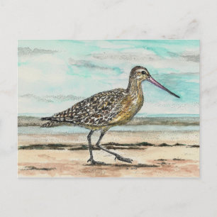 Sandpiper Postcard