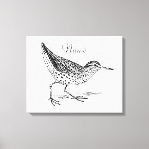 Sandpiper Shorebird Thunder_Cove Canvas Print