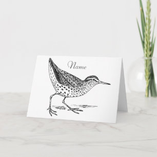 Sandpiper Shorebird Thunder_Cove  Card