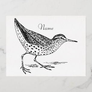 Sandpiper Shorebird Thunder_Cove  Foil Holiday Postcard