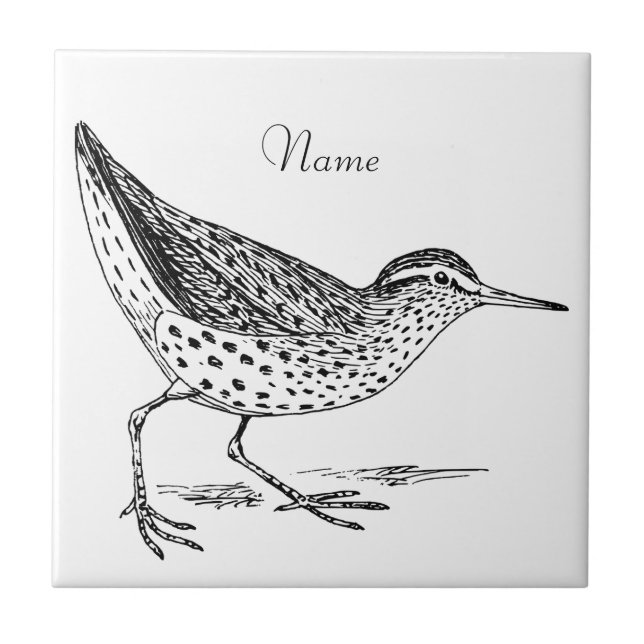 Sandpiper Shorebird Thunder_Cove  Tile (Front)