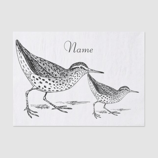 Sandpiper Shorebird Thunder_Cove Tissue Paper (Front)