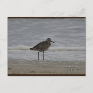 Sandpiper V Blue Beach Song™ Postcard