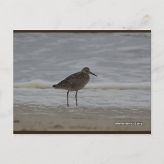 Sandpiper V | Blue Beach Song™ Postcard
