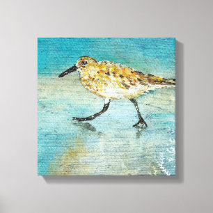 Sandpiper Wading Shorebird Weathered Look Canvas
