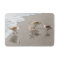 Sandpipers at the Shoreline