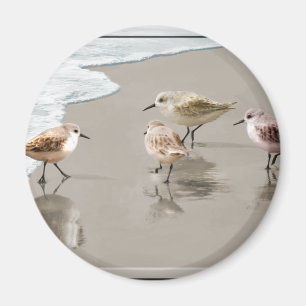 Sandpipers at the Shoreline Magnet