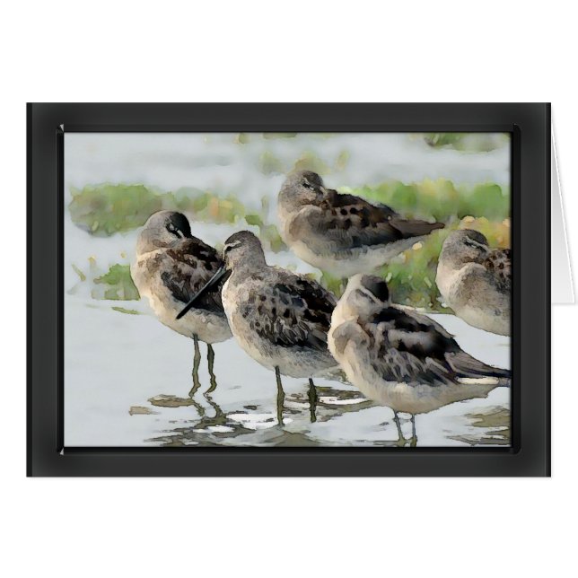 Sandpipers at Water's Edge (Front Horizontal)