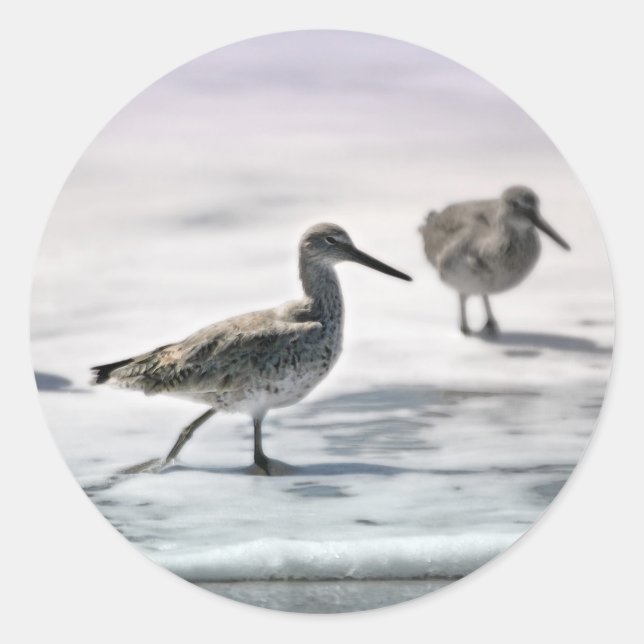 Sandpipers Classic Round Sticker (Front)