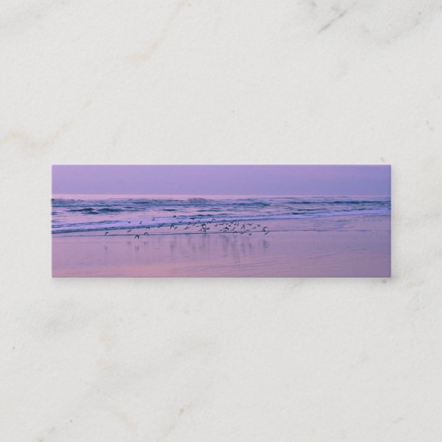 Sandpipers on the Beach at Sunrise Cartes de conta (Devant)