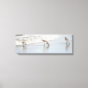 Sandpipers on the Beach Photo Stretched Canvas