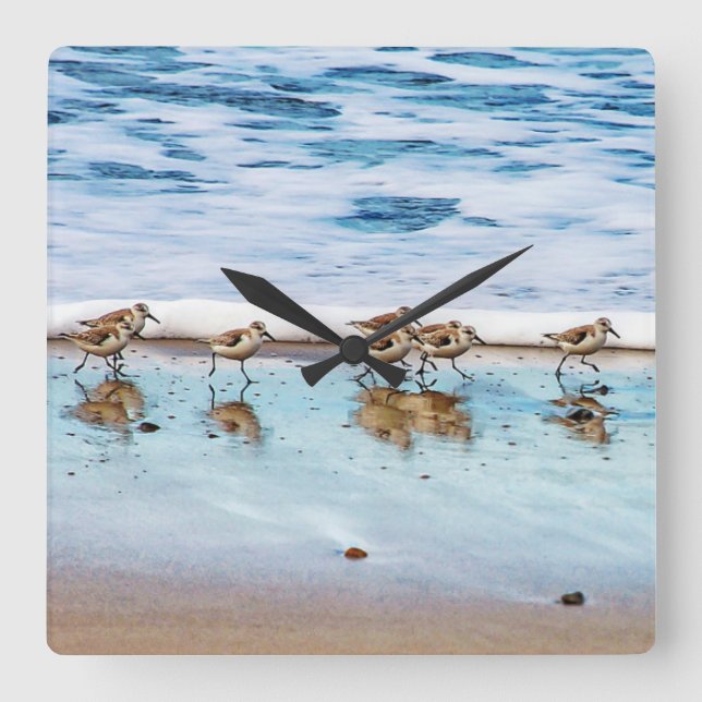 Sandpipers Running Along The Beach Square Wall Clock (Front)
