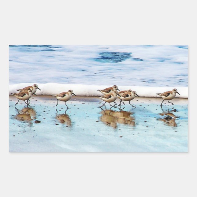Sandpipers Running Along The Beach Sticker (Front)