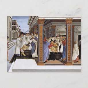 Sandro Botticelli- Baptism of St Zenobius Postcard