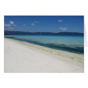 sands white beach