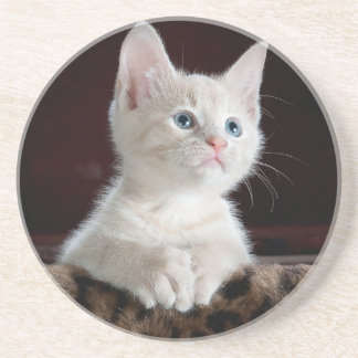 Sandstone Coaster lovers cats , for girls / gift