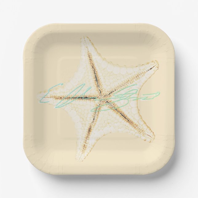 Sandstone Coaster Paper Plate (Front)