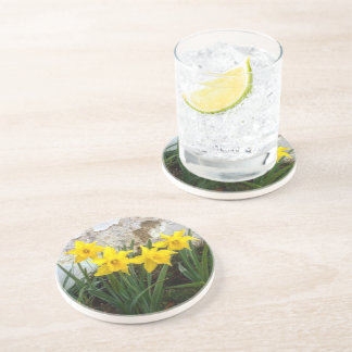 Sandstone Daffodil coaster