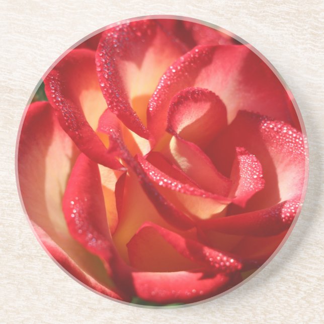 Sandstone drink coaster (Front)