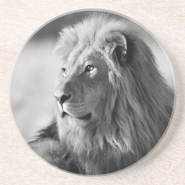 Sandstone Drink Coaster/Lion Coaster (Front)