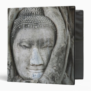 Sandstone head of Buddha surrounded by tree Binder