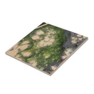 Sandstone Rock Formation with Emerald Green Moss Tile