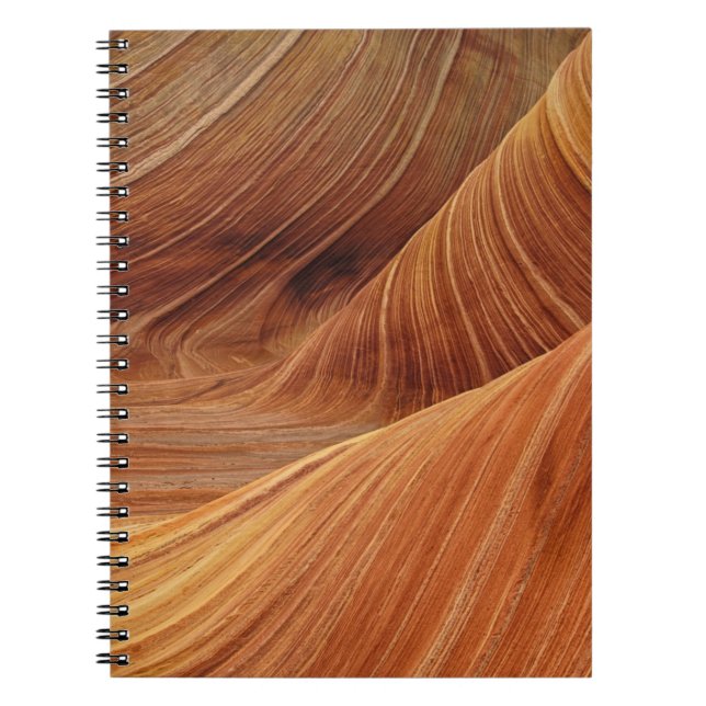 Sandstone Rock Formations Notebook (Front)