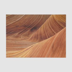 Sandstone Rock Formations Tissue Paper