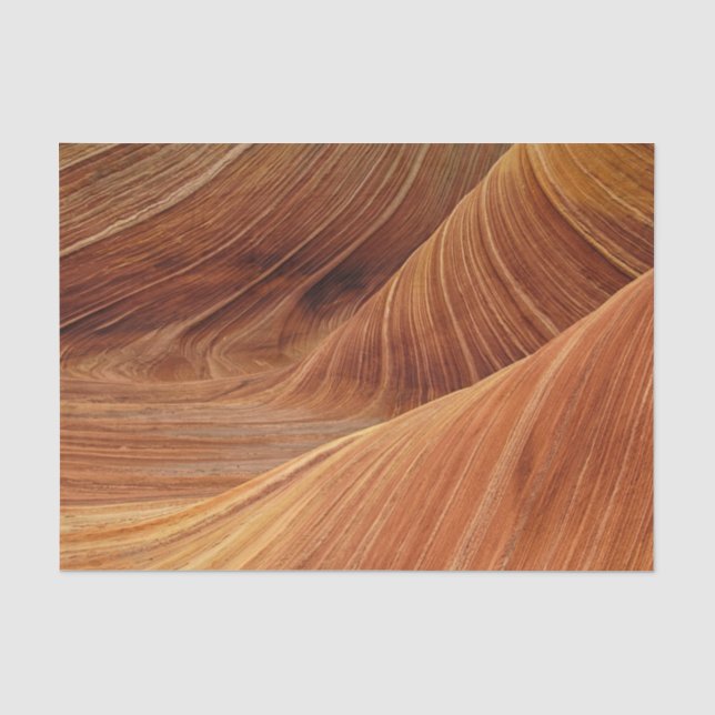 Sandstone Rock Formations Tissue Paper (Front)