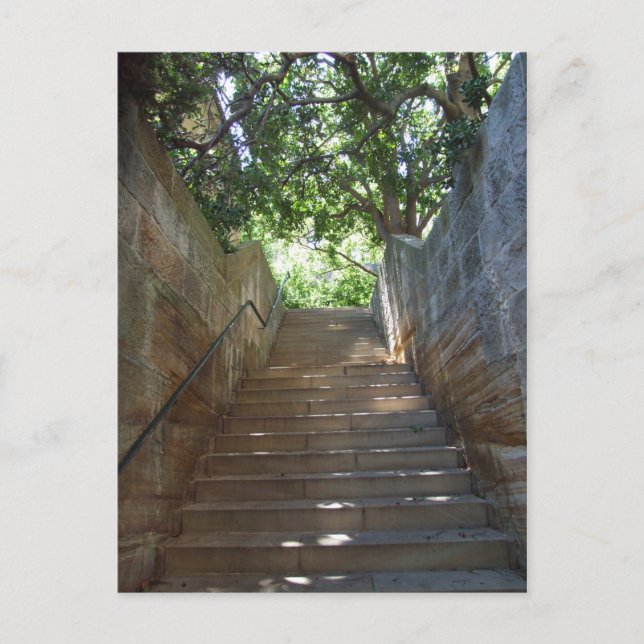 Sandstone Steps Postcard (Front)