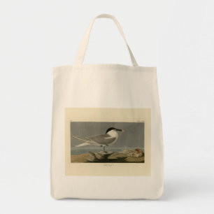 Sandwich (Cabot's) Tern, Audubon Birds of America Tote Bag