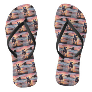 Sandy American Staffordshire Dog on Beach Sunset Flip Flops