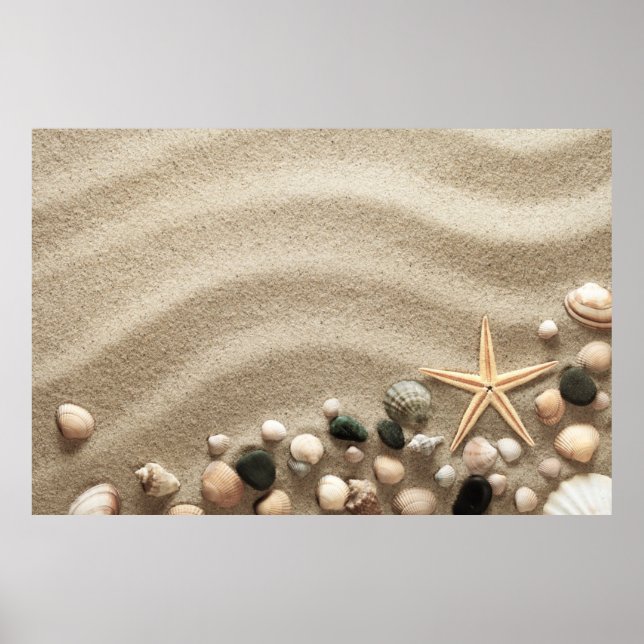 Sandy Beach Background With Shells And Starfish Poster (Front)