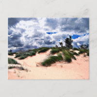 Sandy Beach Dune Grass