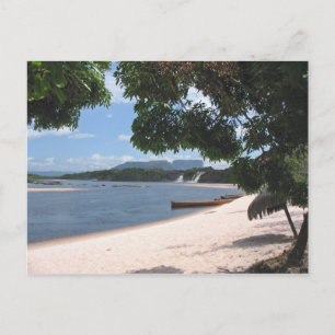 Sandy Beach Venezuela Jungle Landscape Postcard