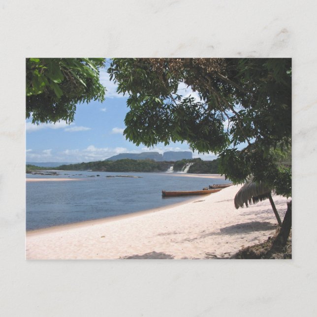 Sandy Beach Venezuela Jungle Landscape Postcard (Front)
