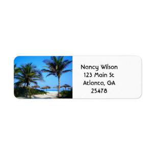 Sandy Beach With Palm Trees and An Ocean View