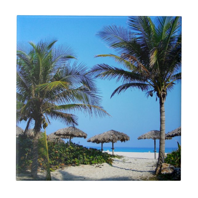 Sandy Beach With Palm Trees and An Ocean View Tile (Front)